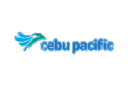 Airline logo